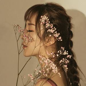 鲁班资料,鲁班最新歌曲,鲁班MV视频,鲁班音乐专辑,鲁班好听的歌