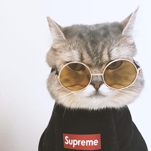 恶魔之子 (恶魔之子)