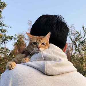 繁希资料,繁希最新歌曲,繁希MV视频,繁希音乐专辑,繁希好听的歌