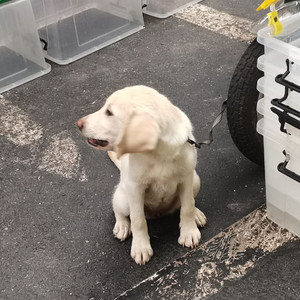 吴既白资料,吴既白最新歌曲,吴既白MV视频,吴既白音乐专辑,吴既白好听的歌