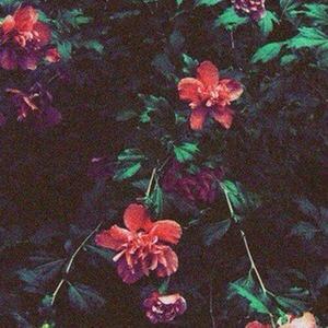 deadxbeat资料,deadxbeat最新歌曲,deadxbeatMV视频,deadxbeat音乐专辑,deadxbeat好听的歌