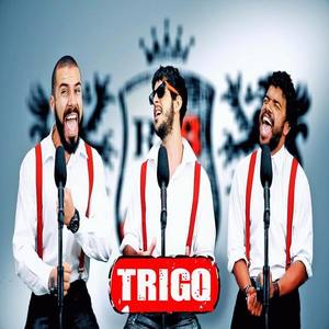 Try Everything-TriGO!