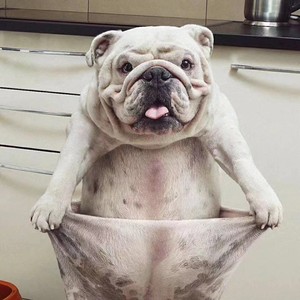 马泓锦资料,马泓锦最新歌曲,马泓锦MV视频,马泓锦音乐专辑,马泓锦好听的歌