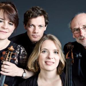 Fitzwilliam String Quartet资料,Fitzwilliam String Quartet最新歌曲,Fitzwilliam String QuartetMV视频,Fitzwilliam String Quartet音乐专辑,Fitzwilliam String Quartet好听的歌