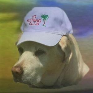 Toj资料,Toj最新歌曲,TojMV视频,Toj音乐专辑,Toj好听的歌