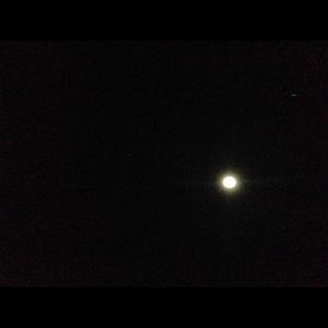 Palma资料,Palma最新歌曲,PalmaMV视频,Palma音乐专辑,Palma好听的歌