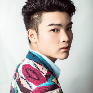 成一资料,成一最新歌曲,成一MV视频,成一音乐专辑,成一好听的歌