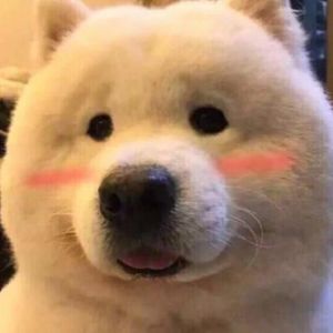 颜公子资料,颜公子最新歌曲,颜公子MV视频,颜公子音乐专辑,颜公子好听的歌