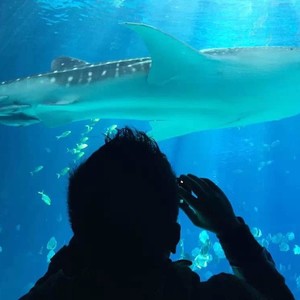 音闪资料,音闪最新歌曲,音闪MV视频,音闪音乐专辑,音闪好听的歌