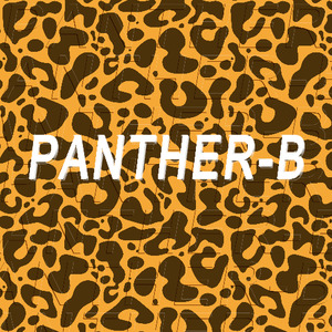 Panther-B