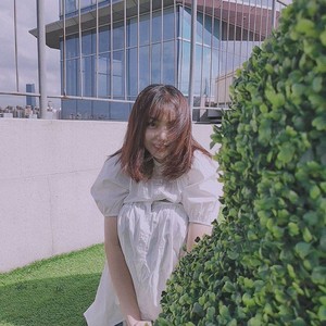 你是我心内的一首歌