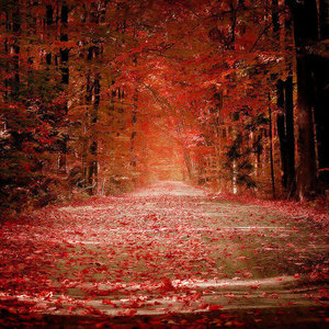 Andemund Orchestra资料,Andemund Orchestra最新歌曲,Andemund OrchestraMV视频,Andemund Orchestra音乐专辑,Andemund Orchestra好听的歌