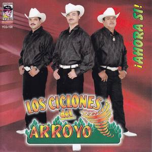 Los Ciclones del Arroyo