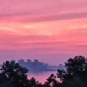 张良辰资料,张良辰最新歌曲,张良辰MV视频,张良辰音乐专辑,张良辰好听的歌