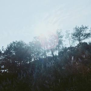 Sunnycat资料,Sunnycat最新歌曲,SunnycatMV视频,Sunnycat音乐专辑,Sunnycat好听的歌