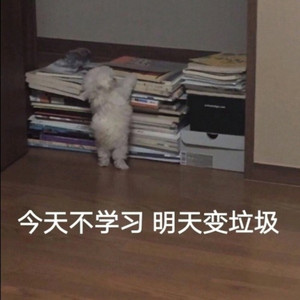 池小虞资料,池小虞最新歌曲,池小虞MV视频,池小虞音乐专辑,池小虞好听的歌