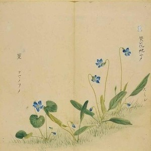 昔我资料,昔我最新歌曲,昔我MV视频,昔我音乐专辑,昔我好听的歌