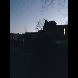 225资料,225最新歌曲,225MV视频,225音乐专辑,225好听的歌