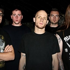 Allegaeon