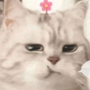 Unrealz资料,Unrealz最新歌曲,UnrealzMV视频,Unrealz音乐专辑,Unrealz好听的歌