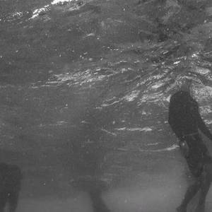 Kenzo资料,Kenzo最新歌曲,KenzoMV视频,Kenzo音乐专辑,Kenzo好听的歌