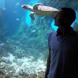 Elastic Sound资料,Elastic Sound最新歌曲,Elastic SoundMV视频,Elastic Sound音乐专辑,Elastic Sound好听的歌