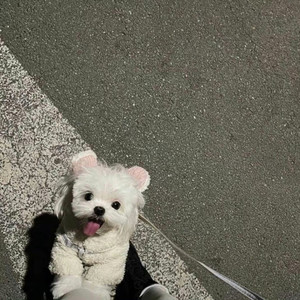 阿美呀 - 没能忍住想念 (DJ 王小龙版)