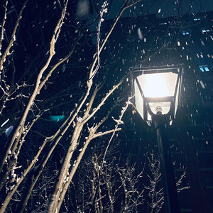 陈大默资料,陈大默最新歌曲,陈大默MV视频,陈大默音乐专辑,陈大默好听的歌