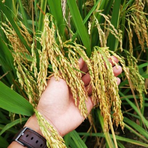 驻村人资料,驻村人最新歌曲,驻村人MV视频,驻村人音乐专辑,驻村人好听的歌