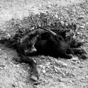 Cursed资料,Cursed最新歌曲,CursedMV视频,Cursed音乐专辑,Cursed好听的歌