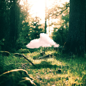 Lucid Green资料,Lucid Green最新歌曲,Lucid GreenMV视频,Lucid Green音乐专辑,Lucid Green好听的歌