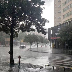 牛牛资料,牛牛最新歌曲,牛牛MV视频,牛牛音乐专辑,牛牛好听的歌