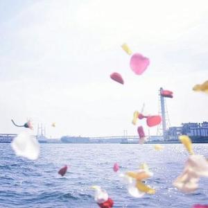 Peke资料,Peke最新歌曲,PekeMV视频,Peke音乐专辑,Peke好听的歌