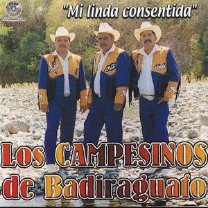 Los Campesinos de Badiraguato