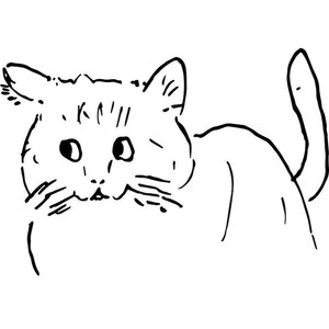 Ohirune Cat