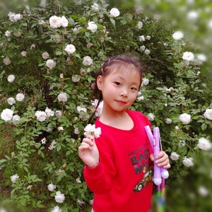 何佳芮资料,何佳芮最新歌曲,何佳芮MV视频,何佳芮音乐专辑,何佳芮好听的歌