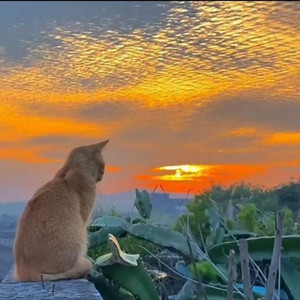 厦门咸鱼资料,厦门咸鱼最新歌曲,厦门咸鱼MV视频,厦门咸鱼音乐专辑,厦门咸鱼好听的歌