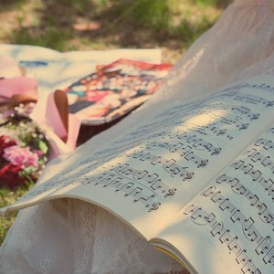 钢虎叶叶与苏澄资料,钢虎叶叶与苏澄最新歌曲,钢虎叶叶与苏澄MV视频,钢虎叶叶与苏澄音乐专辑,钢虎叶叶与苏澄好听的歌