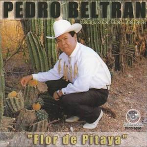 Pedro Beltrán