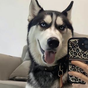 斩王资料,斩王最新歌曲,斩王MV视频,斩王音乐专辑,斩王好听的歌