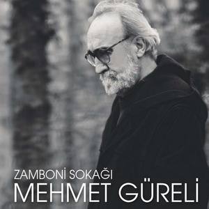 Mehmet Güreli资料,Mehmet Güreli最新歌曲,Mehmet GüreliMV视频,Mehmet Güreli音乐专辑,Mehmet Güreli好听的歌