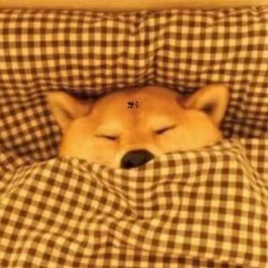 小花儿资料,小花儿最新歌曲,小花儿MV视频,小花儿音乐专辑,小花儿好听的歌