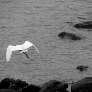 逢春资料,逢春最新歌曲,逢春MV视频,逢春音乐专辑,逢春好听的歌