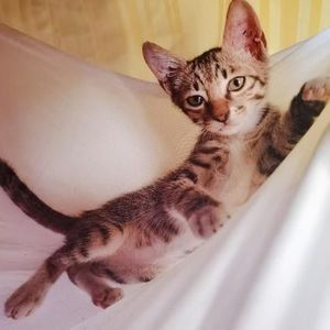 孤舟辞晚资料,孤舟辞晚最新歌曲,孤舟辞晚MV视频,孤舟辞晚音乐专辑,孤舟辞晚好听的歌