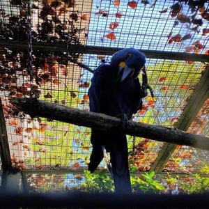 Freed资料,Freed最新歌曲,FreedMV视频,Freed音乐专辑,Freed好听的歌