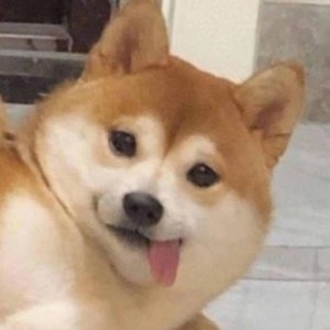 一不小心