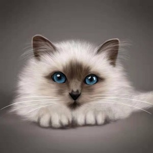 永不失联的爱 (Demo)