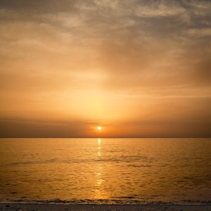 蒋官军资料,蒋官军最新歌曲,蒋官军MV视频,蒋官军音乐专辑,蒋官军好听的歌