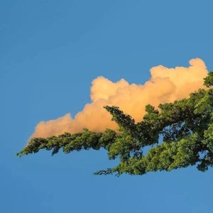 WKYAugus资料,WKYAugus最新歌曲,WKYAugusMV视频,WKYAugus音乐专辑,WKYAugus好听的歌