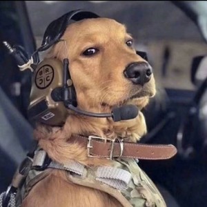 唐汤资料,唐汤最新歌曲,唐汤MV视频,唐汤音乐专辑,唐汤好听的歌